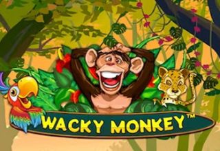 Wacky Monkey